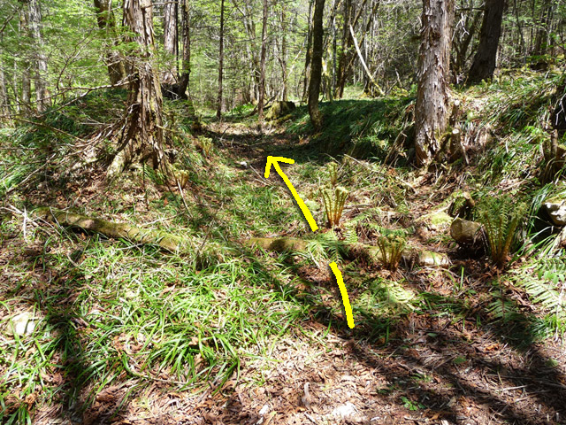 ���ː�X�ѓS��,�ѓS,�p����,�Ȑ�,�ѓ�,����c�я�,�ؑ]