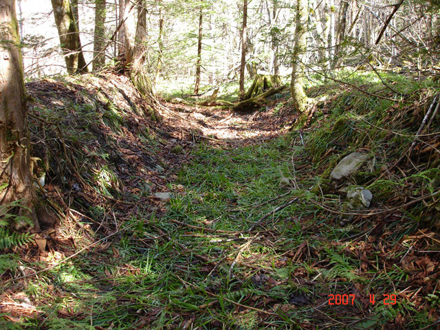 ���ː�X�ѓS��,�ѓS,�p����,�Ȑ�,�ѓ�,���ꑺ,�V����