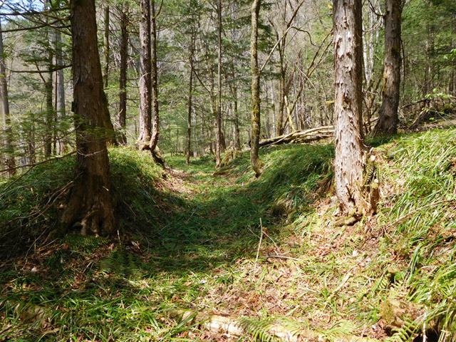 ���ː�X�ѓS��,�ѓS,�p����,�Ȑ�,�ѓ�,���ꑺ,�ؑ]�X