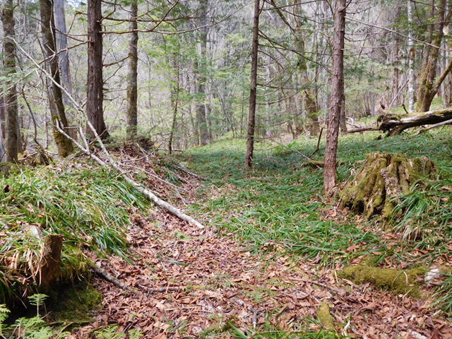 ���ː�X�ѓS��,�ѓS,�p����,�w�A�s���J�[�u,�ѓ�,���ꑺ,�ؑ]�X