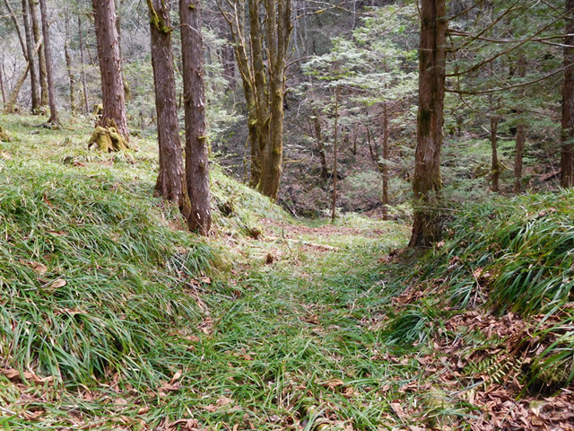 ���ː�X�ѓS��,�ѓS,�p����,�w�A�s���J�[�u,�ѓ�,���ꑺ,���z