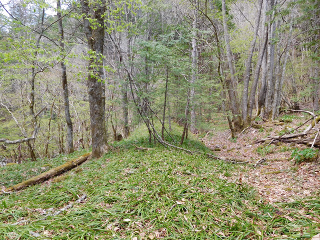 �ؑ]�X�ѓS�����ː��,�ѓS,�p����,����,�ѓ�,���ꑺ,�z��