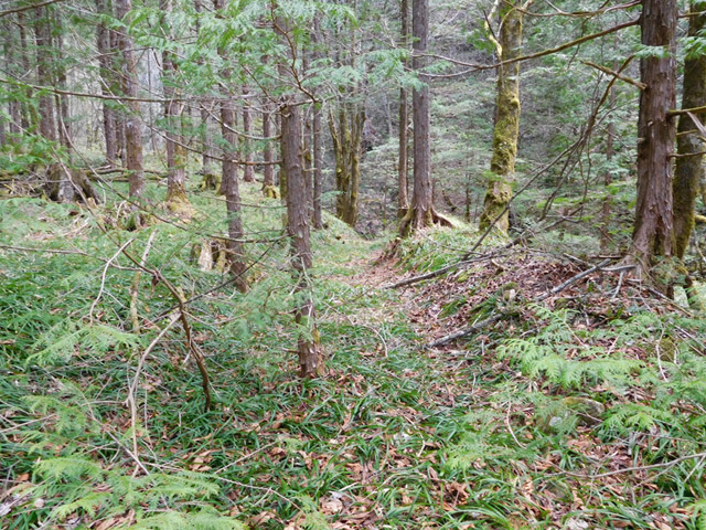 �ؑ]�X�ѓS�����ː��,�ѓS,�p����,����,�ѓ�,���ꑺ