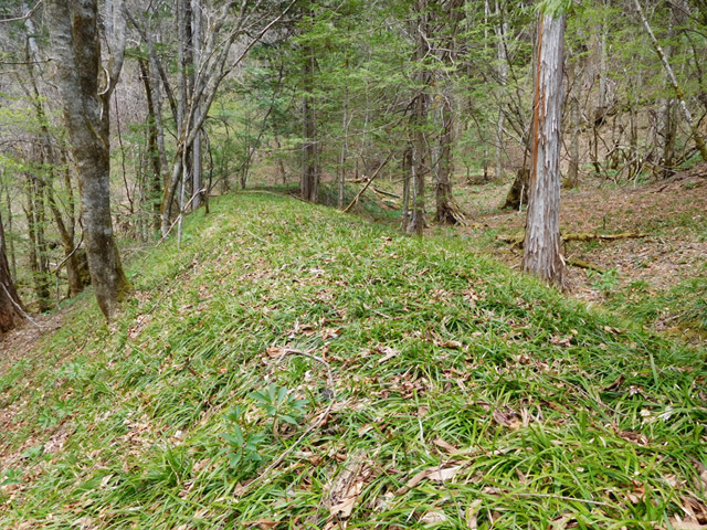 �ؑ]�X�ѓS�����ː��,�ѓS,�p����,����,�ѓ�,����c�я�,�z��