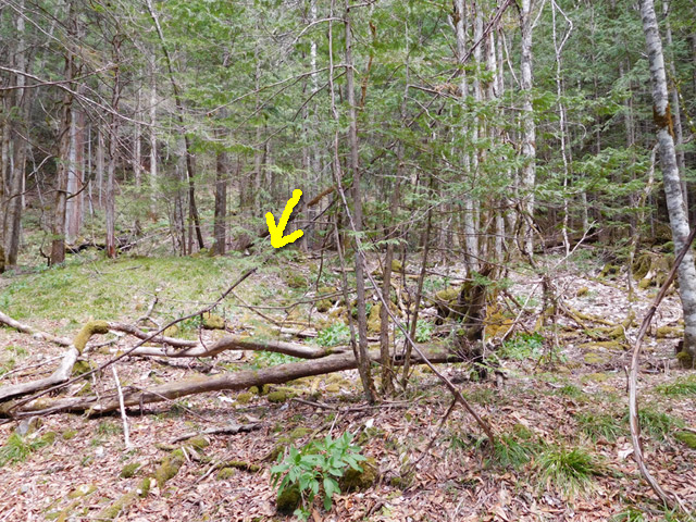 �ؑ]�X�ѓS�����ː��,�ѓS,�p����,�ѓ�,����c�я�,���ґ��ԏ�