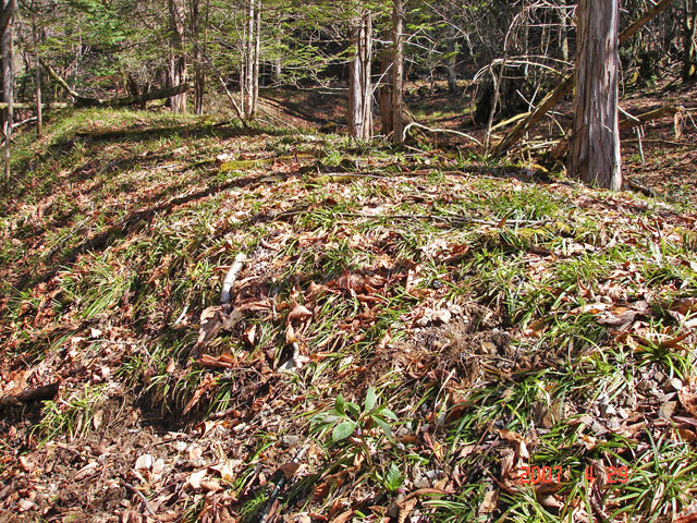 ���ː�X�ѓS��,�ѓS,�p����,����,�ؑ]�X,����,�y�؋O��