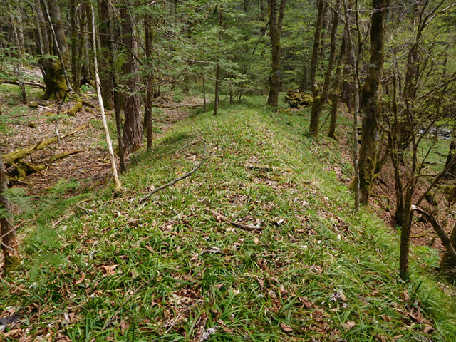 ���ː�X�ѓS��,�ѓS,�p����,�ؑ]�X,�H��,�y�؋O��