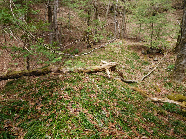 �ؑ]�X�ѓS�����ː��,�ѓS,�p����,����c�я�,�H��,�w�A�s���J�[�u