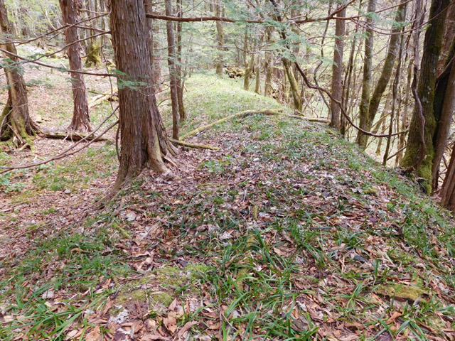 �ؑ]�X�ѓS�����ː��,�ѓS,�p����,����c�я�,�z��,�w�A�s���J�[�u