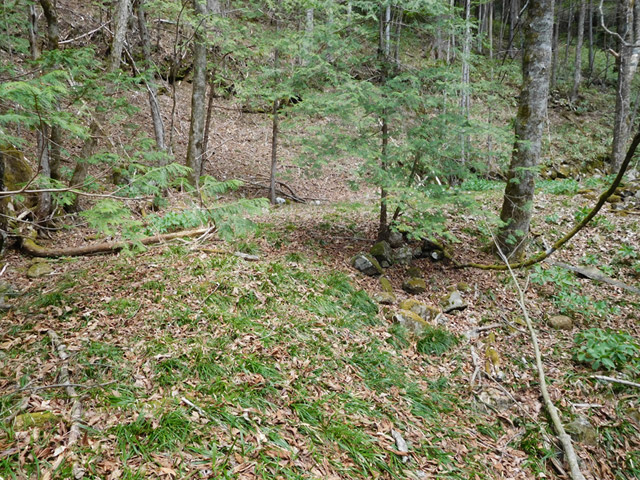 �ؑ]�X�ѓS�����ː��,�ѓS,�p����,����c�я�,����,�w�A�s���J�[�u