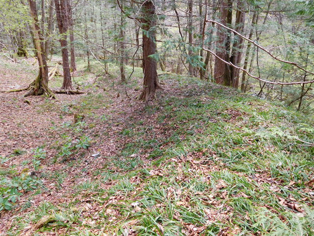 �ؑ]�X�ѓS�����ː��,�ѓS,�p����,����c�я�,����,�w�A�s���J�[�u