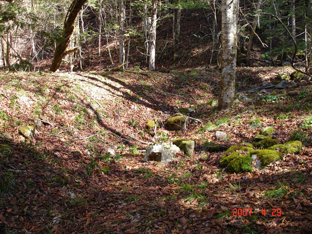 �ؑ]�X�ѓS�����ː��,�ѓS,�p����,�w�A�s���J�[�u,�H��,�y�؋O��