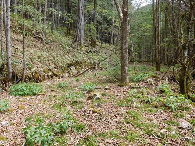 �ؑ]�X�ѓS�����ː��,�ѓS,�p����,���ґ��ԏ�,2����,�y�؋O��