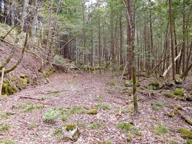 �ؑ]�X�ѓS�����ː��,�ѓS,�p����,���ґ��ԏ�,����c�я�,�Ȑ�