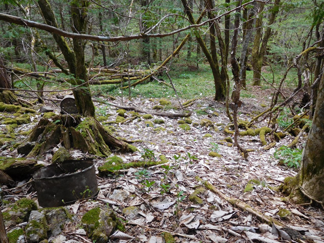 ���ː�X�ѓS��,�ѓS,�p����,���ґ��ԏ�,�ꏡ�r,�h������