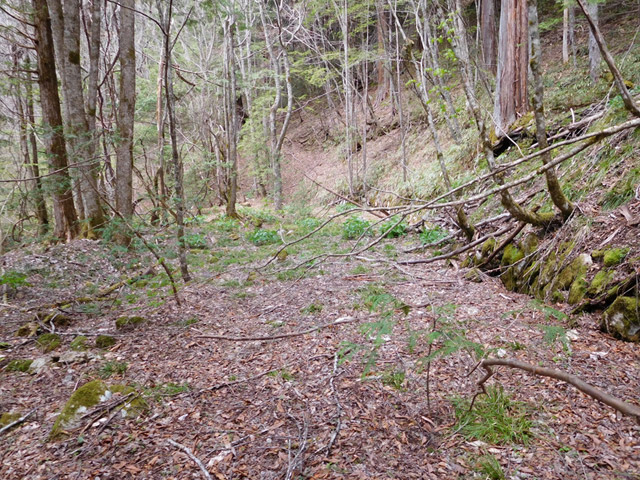 ���ː�X�ѓS��,�ѓS,�p����,���ґ��ԏ�,�H��,����,�ؑ]