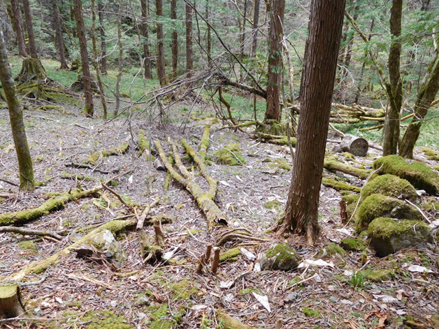 ���ː�X�ѓS��,�ѓS,�p����,���ґ��ԏ�,�я�,����,����c�я�