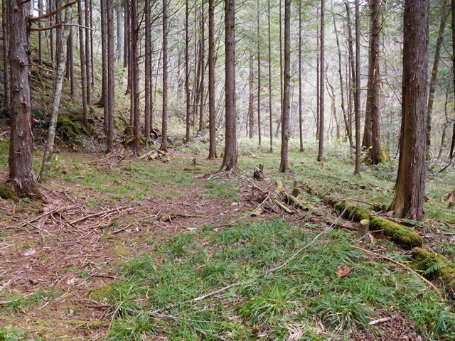 ���ː�X�ѓS��,�ѓS,�p����,���ґ��ԏ�,�y�؋O��,�H��,����c�я�