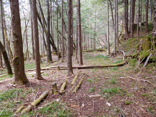 ���ː�X�ѓS��,�ѓS,�p����,���ґ��ԏ�,�H��,�ؑ]�X,����c�я�