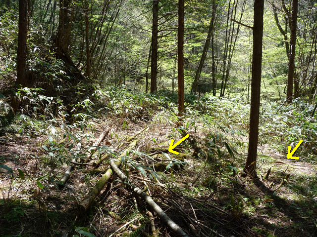 �X�ѓS��,�ѓS,�p����,���ґ��ƋO��,��Ɛ�,���ː�,����c�я�