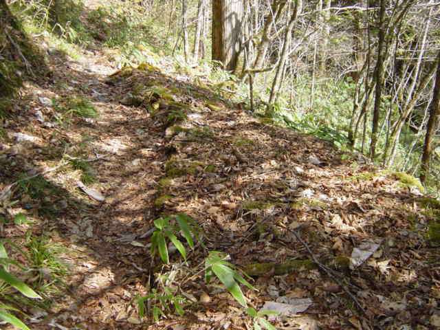 �X�ѓS��,�ѓS,�p����,���ґ��ƋO��,��Ɛ�,�؋�,�V��