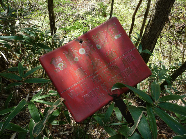 �X�ѓS��,�ѓS,�p����,���ґ��ƋO��,��Ɛ�,�_�я�,���b�ی��Ŕ�