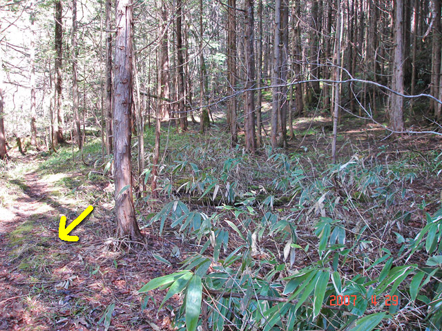 �X�ѓS��,�ѓS,�p����,���ґ��ƋO��,��Ɛ�,��ԏ�,�V����