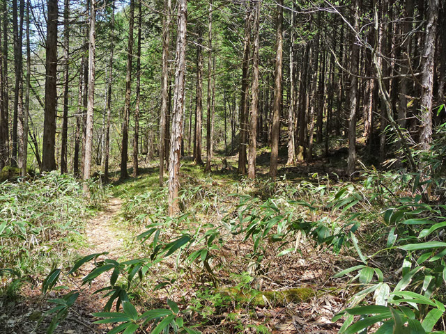 �X�ѓS��,�ѓS,�p����,��ƋO��,���ґ��Ɛ�,��ԏ�,����