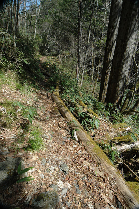 �X�ѓS��,�ѓS,�p����,���ґ��ƋO��,��Ɛ�,���ː�,�V����