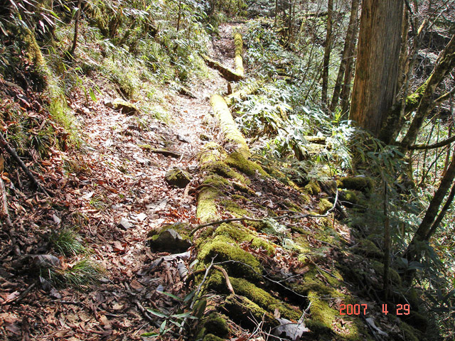 �X�ѓS��,�ѓS,�p����,���ґ��ƋO��,�V��,���ː�,�؋�