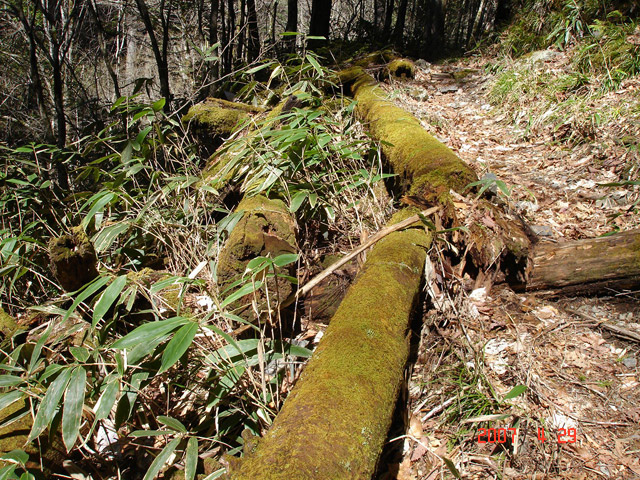 �X�ѓS��,�ѓS,�p����,��ƋO��,�V��,���ꑺ,�؋�,���ґ��Ɛ�