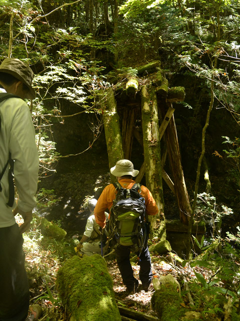 �X�ѓS��,�ѓS,�p����,���ґ��ƋO��,����,�؋�,���ː�E�H�[�L���O,����c�я�