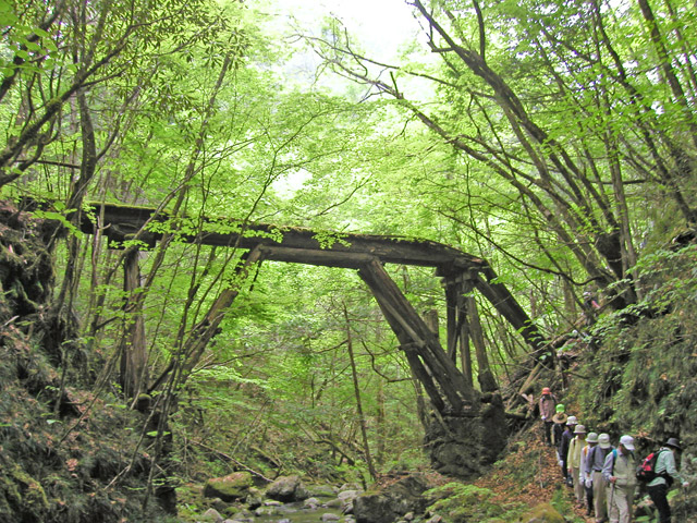 �X�ѓS��,�ѓS,�p����,���ґ��ƋO��,��Ɛ�,�؋�,�ؑ�����,���ː�E�H�[�L���O