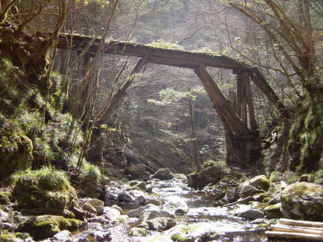 �X�ѓS��,�ѓS,�p����,���ґ��ƋO��,��Ɛ�,�؋�,�ؑ�����,���ꑺ