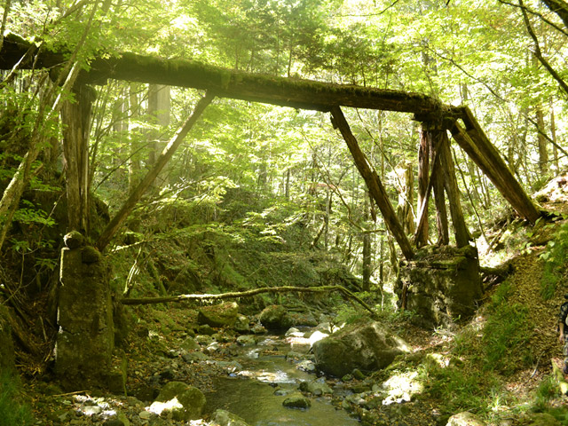 �X�ѓS��,�ѓS,�p����,��ƋO��,���ґ��Ɛ�,�؋�,�ؑ�����,���ː�E�H�[�L���O