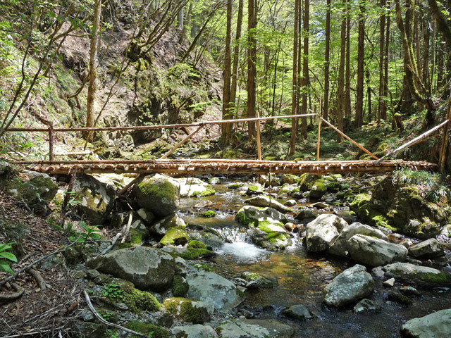 �X�ѓS��,�ѓS,�p����,���ґ��ƋO��,�V����,���ː�E�H�[�L���O,���ꑺ,�ۑ���