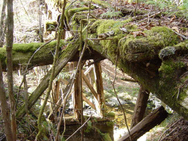 �X�ѓS��,�ѓS,�p����,��ƋO��,���ː쓌�ґ��Ɛ�,���ꑺ,�ؑ�����