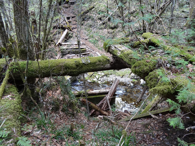 �X�ѓS��,�ѓS,�p����,��ƋO��,���ː쓌�ґ��Ɛ�,���ꑺ,�ؐ����r