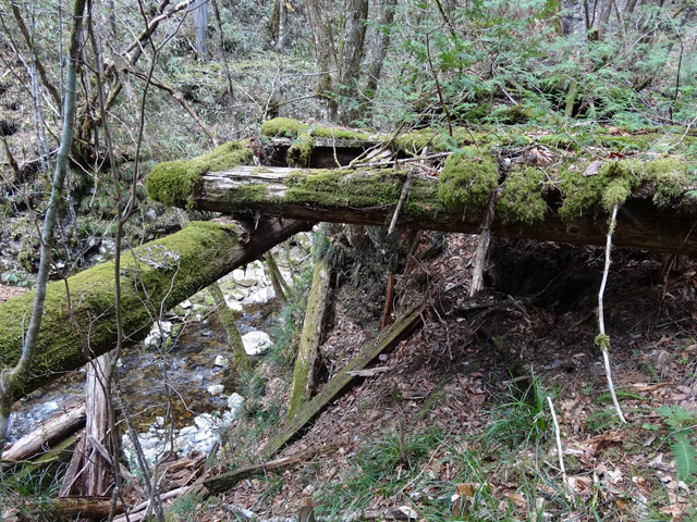 �X�ѓS��,�ѓS,�p����,���ґ��ƋO��,�V��,�؋�,��Ɛ�,����c�я�