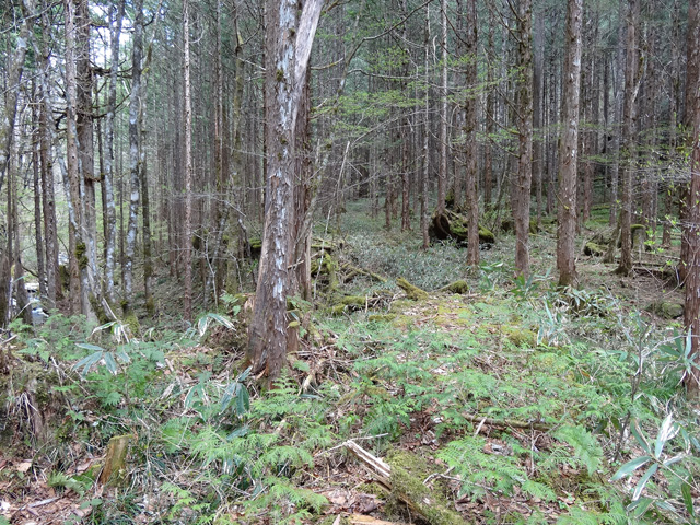 �X�ѓS��,�ѓS,�p����,���ґ��ƋO��,�V��,���ː�,�؋�