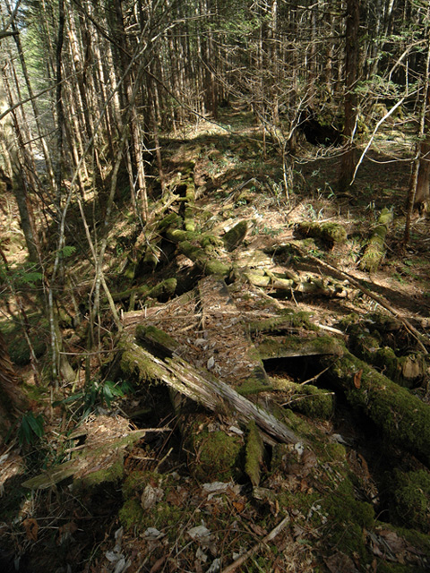 �X�ѓS��,�ѓS,�p����,���ґ��ƋO��,�V��,�؋�,�c�[