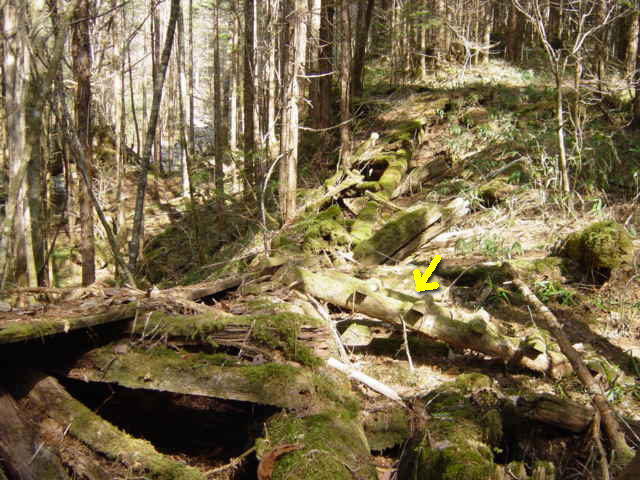 �X�ѓS��,�ѓS,�p����,���ґ��ƋO��,�V��,�؋�,�c�[