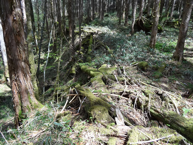 �X�ѓS��,�ѓS,�p����,���ґ��ƋO��,�V��,�包,�c�[