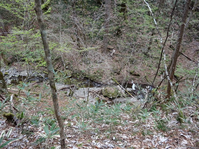 �ؑ]�X�ѓS��,�ѓS,�p����,�L�b�^�e���ƋO��,�x��,�x��,�k��