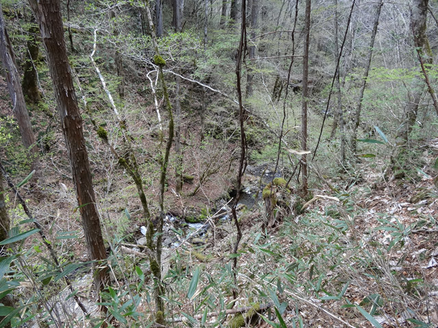 �ؑ]�X�ѓS��,�ѓS,�p����,�L�b�^�e���Ɛ�,���ː�,���ґ�,���ꑺ