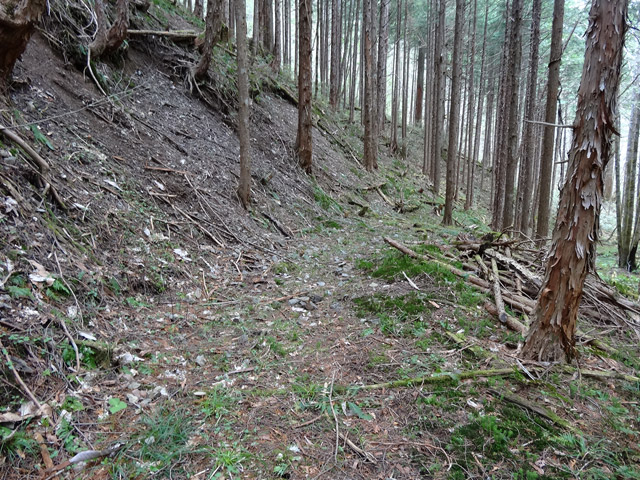 �ؑ]�X�ѓS��,�ѓS,�p����,���ґ��ƋO��,�ы�,�H��,����