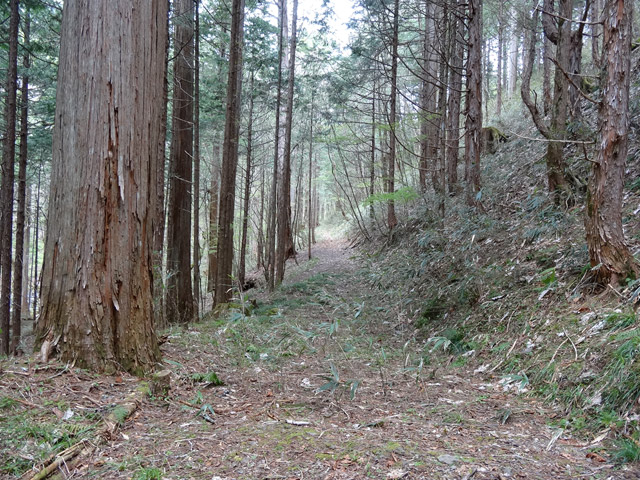 �ؑ]�X�ѓS��,�ѓS,�p����,���ґ��ƋO��,�ы�,����,���