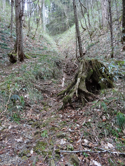 �ؑ]�X�ѓS��,�ѓS,�p����,���ґ��ƋO��,�ы�,���H,�؂芔