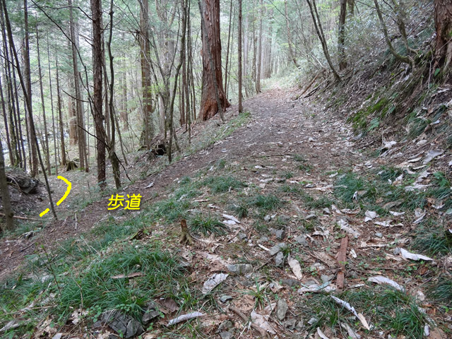 �ؑ]�X�ѓS��,�ѓS,�p����,���ґ��ƋO��,�V����,��Ɛ�,���ꑺ