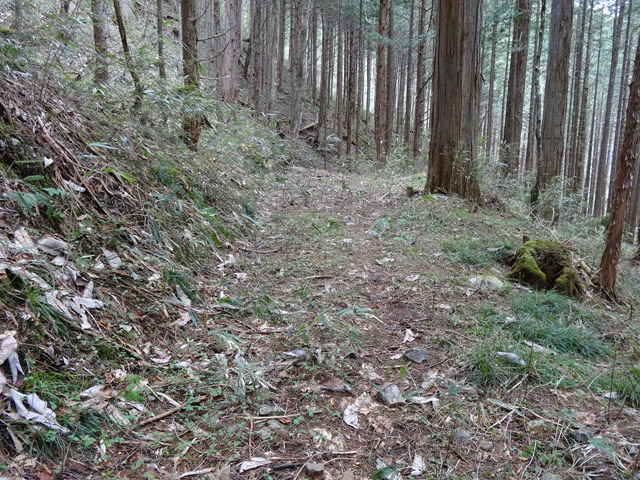 �ؑ]�X�ѓS��,�ѓS,�p����,���ґ��Ɛ�,�؍މ^���O����,����c�ы�,���ꑺ